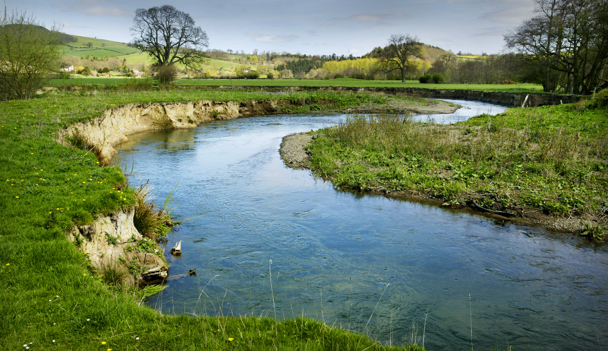 You Are The River N lightenment