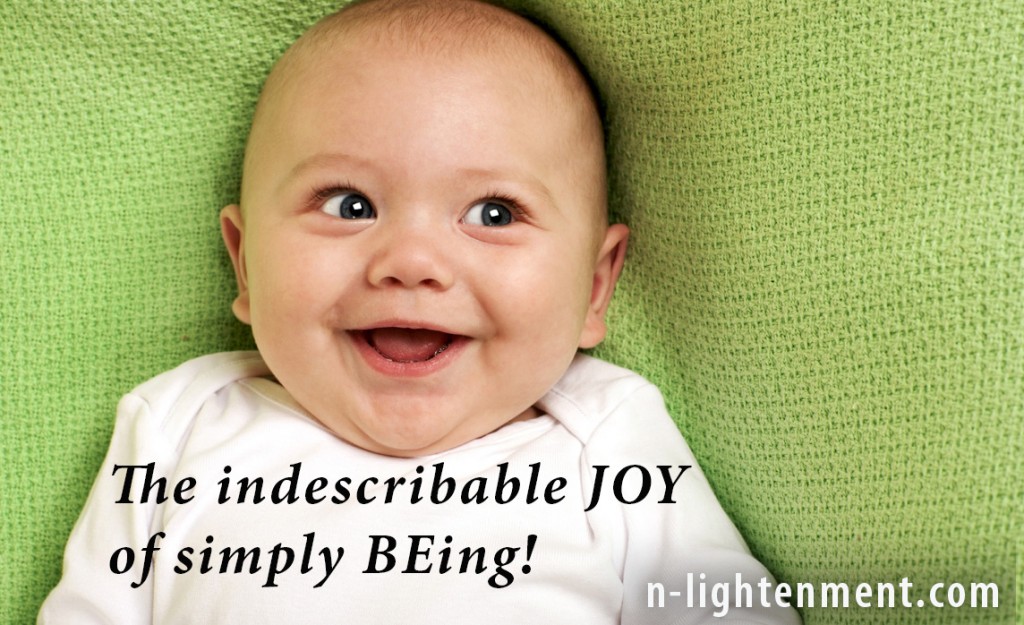 The Indescribable Joy of BEing - N-lightenment