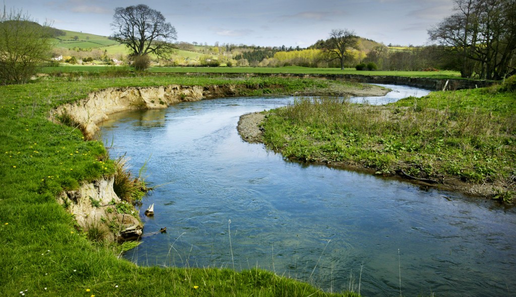 You Are The River