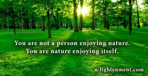 Nature - N-lightenment