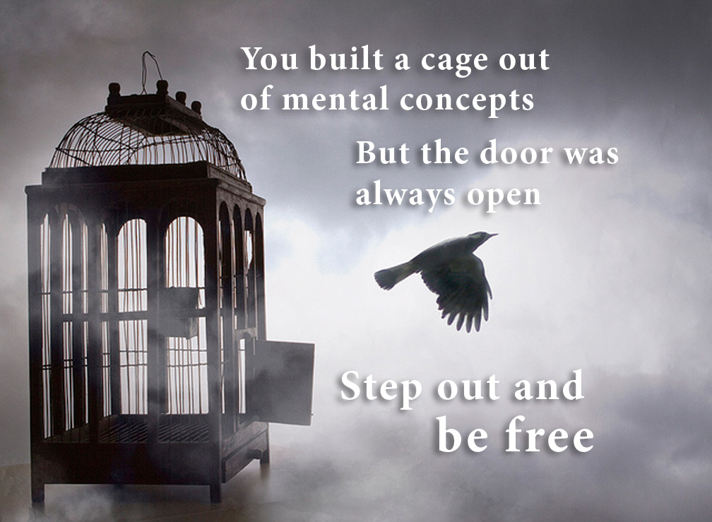 i'm free as a bird when i fly in your cage