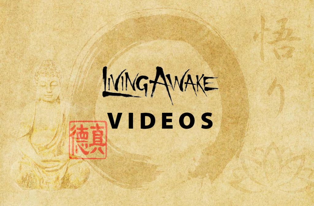Living Awake Videos