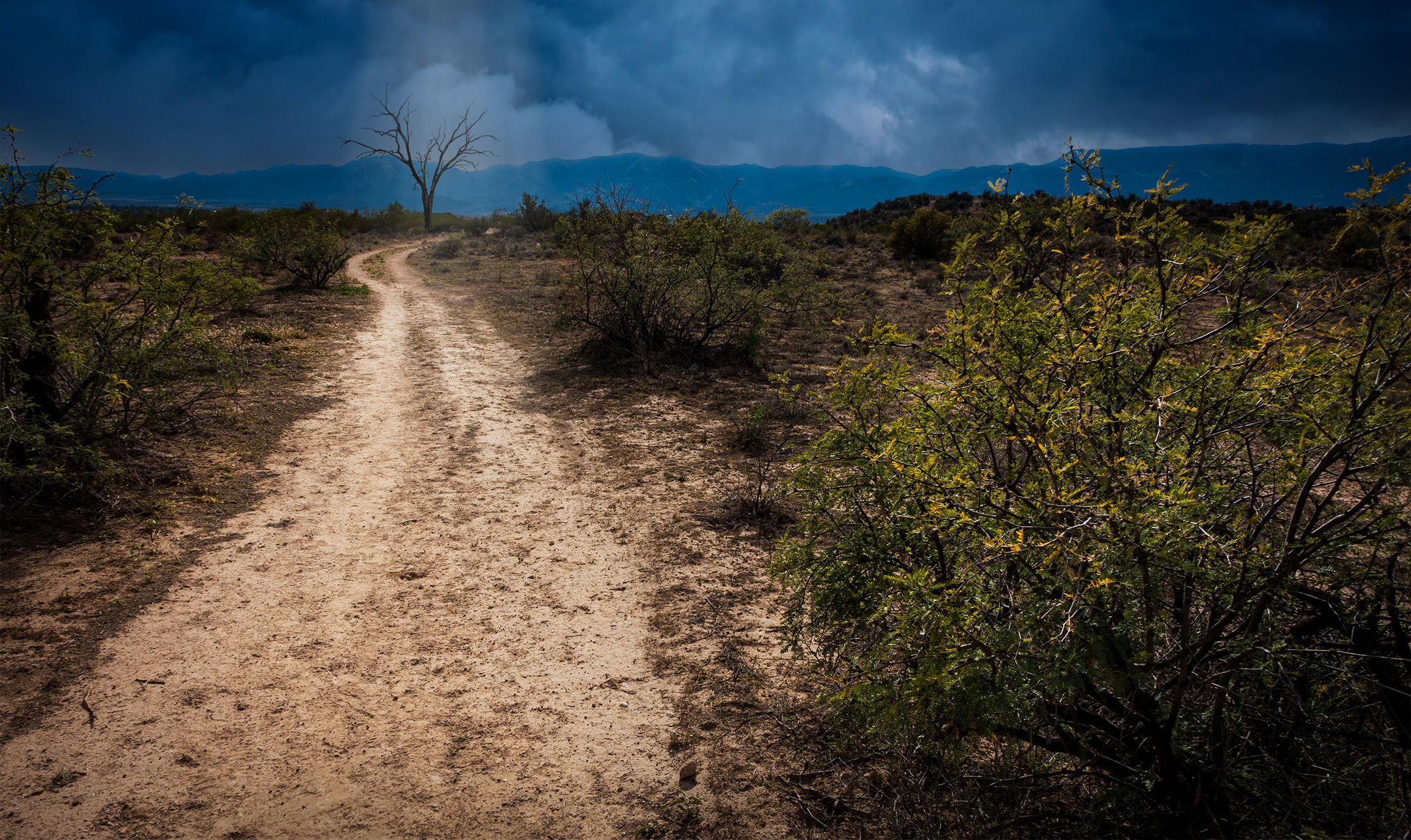 A lone path in Sedona